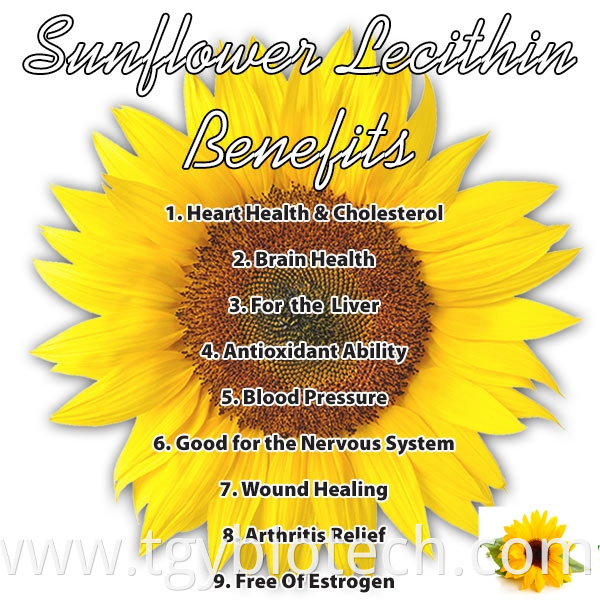 Sunflower Lecithin Powder